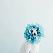 满天都是小欣欣^_^