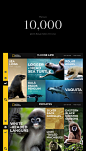 National Geographic - The Endangered Species (Concept) : National Geographic - The Endangered Species Web App Concept. The purpose of this site is to Educate, Raise Awareness and to Take Action in the protection and conservation of different animal specie