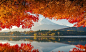 Fuji 
。 ​​​​