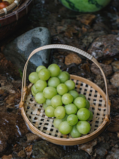 视觉设计小元子采集到水果