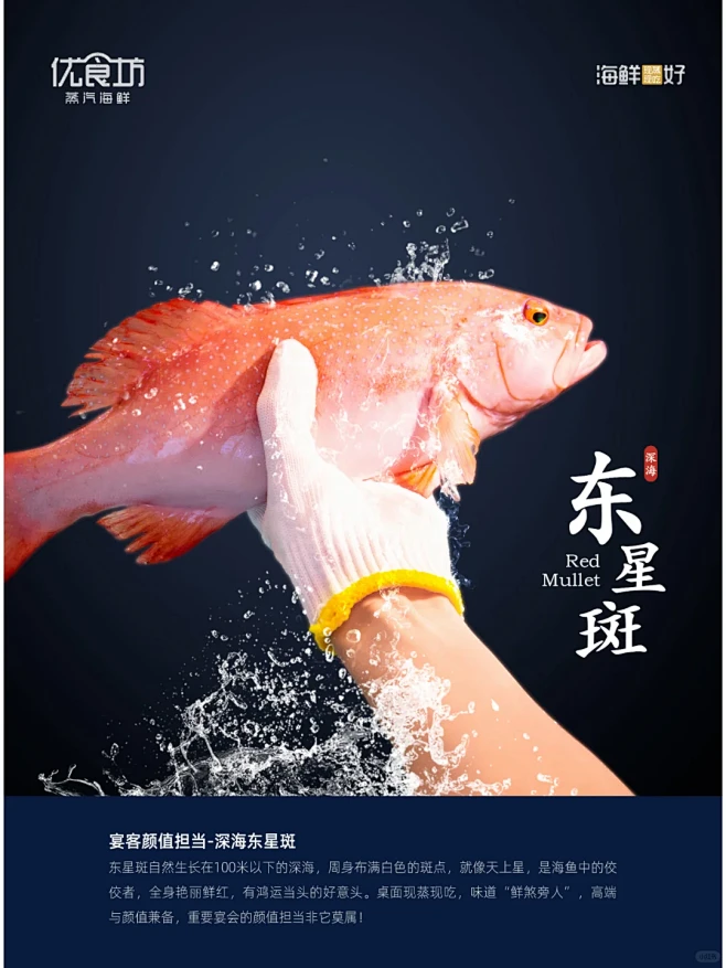 【宴客颜值担当-深海东星斑】 - 小红书
