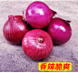 云南紫皮洋葱新鲜10斤农家自种蔬菜洋葱头红皮紫洋葱圆葱批发包邮-tmall.com天猫