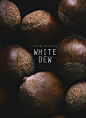 white dew : 静物摄影