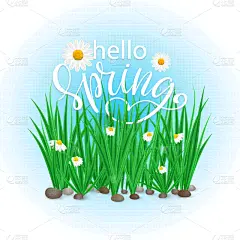 贺卡,清新,草,春天,矢量,你好,绿色,可爱的,单词,背景分离