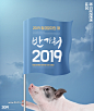 小猪贺岁2019金币礼物丝带简约背景海报