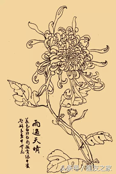 Demain110采集到花卉
