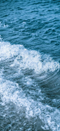 海