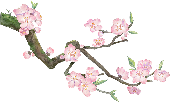 春分节气水墨插画-桃花