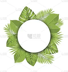 夏天美丽的明信片与绿色热带树叶设计