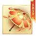 《幻唐志》周年全新内容上线-《幻唐志》官网