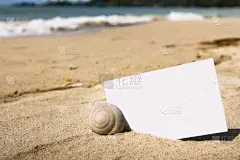 白皮书,商务,贺卡,空的,边框,热带气候,海岸线,夏天,户外,布告栏