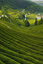 (3248) Pinterest