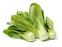 Fresh Shanghai (small) paksoi  on white background