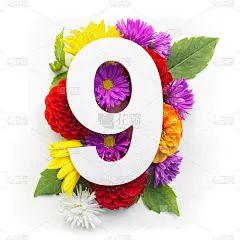 布置着五颜六色的花，叶和九号。平的。前视图。