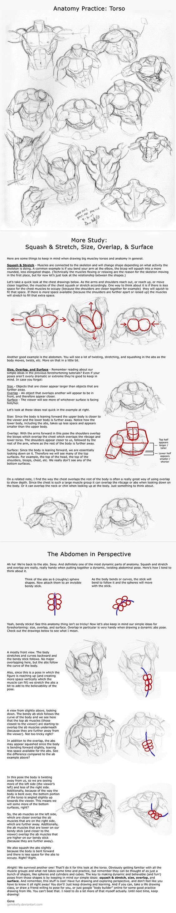 Wed 4: Torso Practic...