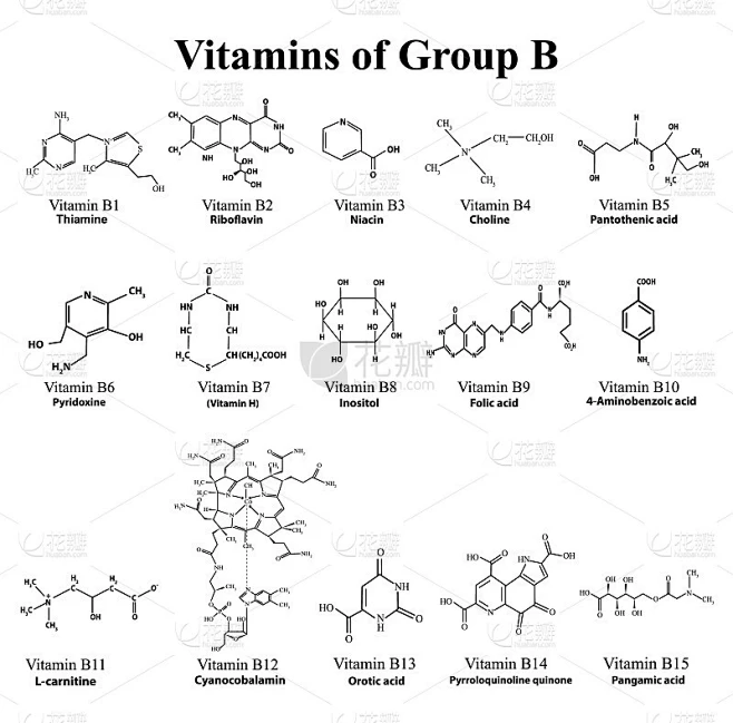 水溶性维生素集。b族维生素维生素的化学分子式。信息图。矢量插图在一个孤立的背景。素材-花瓣网