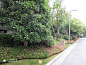 ☆.紸題浀.奇 [http://719898696.qzone.qq.com]
