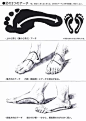 【绘画教程】人体结构教程~扎实的基础，百利而无害，想好好画人物的自己看喔~