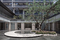 丸丸子要努力采集到展示区
