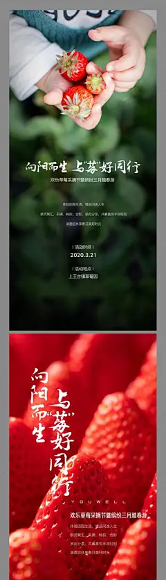 草莓采摘活动预告海报-享设计