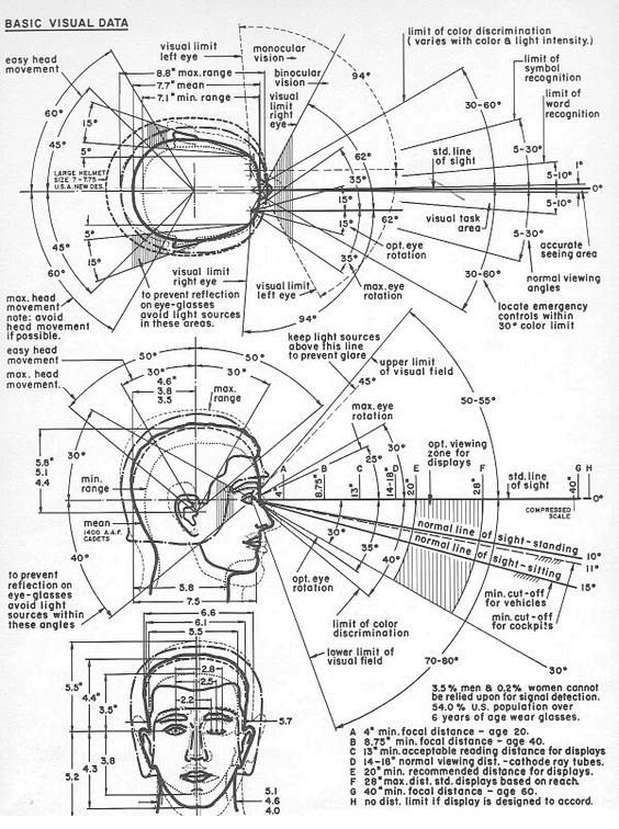 设计知识点，人体工程学之人体视界图