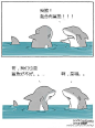 可爱的鲨鱼