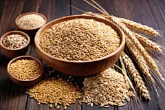 大麦杂粮粗粮摄影图图片