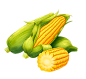 玉米png
