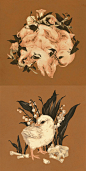美国画师 Teagan White-水彩纹理质感植物动物植物花卉温暖猪鸡风铃草