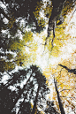 { autumn preview }