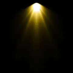 spotlight 114
