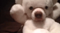 主银把泰迪熊玩偶的嘴巴弄掉，然後把玩偶的头套在汪星人头上，违和感好像被狗吃了。。。