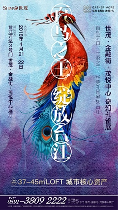 ベ彡槐堂采集到活动