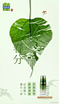 春分海报合集，赏花赏景赏海报