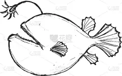 手绘，垃圾，深海鱼素描插图