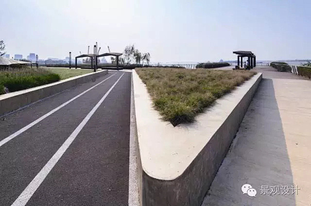 【专题】河岸景观的生态修复（一）——江阴...