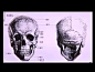 【央美】03.头部造型结构-头部骨骼（人体解剖与结构讲座）—在线播放—优酷网，视频高清在线观看