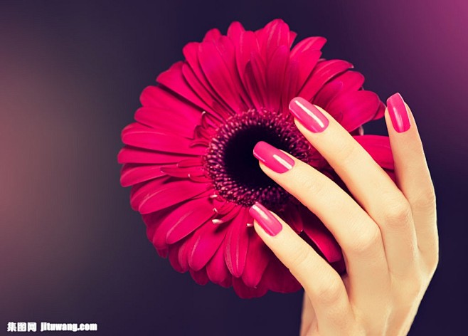 手里的粉色花朵图片素材