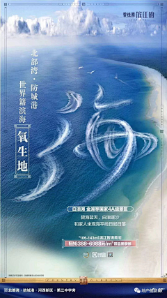 蓝鲸Lisx采集到创意海报