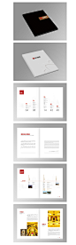金力集团-金融投资保险-案例展示-宣传册设计，画册设计，三合设计