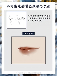 猫啊·采集到很多很全很杂