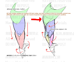 中间中采集到手臂