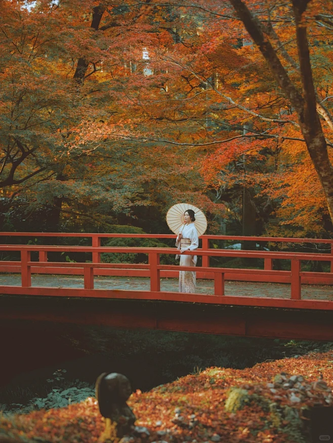 日本旅拍｜京都の枫叶最后一年无人枫林