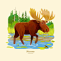 59 Parks Wildlife Alphabet Series – 金·史密斯