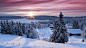 冬季雪景自然松树日出丘陵森林阳光