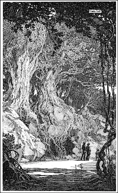 富兰克林·布斯（Franklin Booth）的线条插画艺术（二）～
年少时误以为书上的版画插图都是钢笔画的，就开始用钢笔模仿版画的艺术效果，也由此诞生出现在依然在流行的绘画风格。然后经过多年的执着练习，钢笔画的细腻程度也超越了版画对于细节的表达极限，表现力极为惊艳。 ​​​​