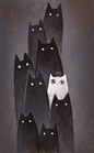 黑猫白猫