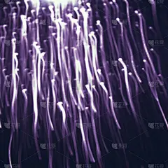 条纹,抽象,背景,白色,美,留白,夜晚,生日,光,放焰火