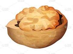 分离着色,胡桃,可爱的,卡通,白色背景,食品,熟的,成分,复古,绘制