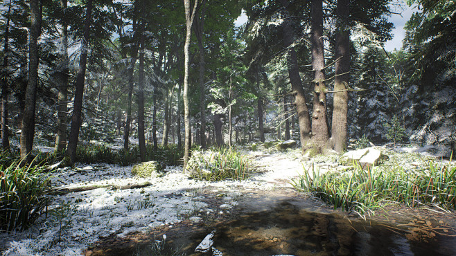 Nordic Conifer Biome
